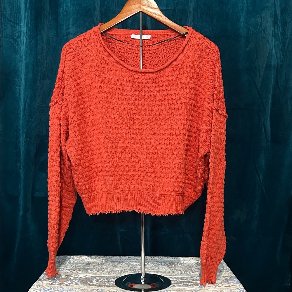 EUC Double Zero Textured Rust Crew Neck Sweater